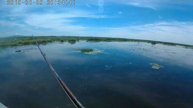 Змееголов 2018 Приморье Ловля небольших Годзил смотреть онлайн