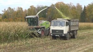 Заготовка силоса 2022: Комбайн Claas Jaguar 870 производит уборку кукурузы