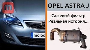 Сажевый фильтр - оно Вам нужно Можно ли с ним жить или стоит удалять