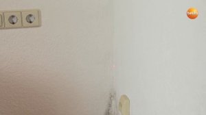 Диагностика мест образования плесени с помощью смарт-зондов testo 605i и testo 805i