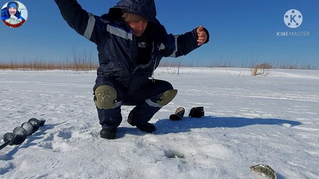 🐟Зимняя рыбалка!Иртышские Окуни отрывают мормышки!г.Павлодар