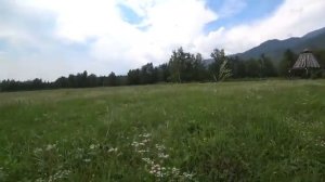 Эльдар Долгатов - полюбил на свою беду♥️