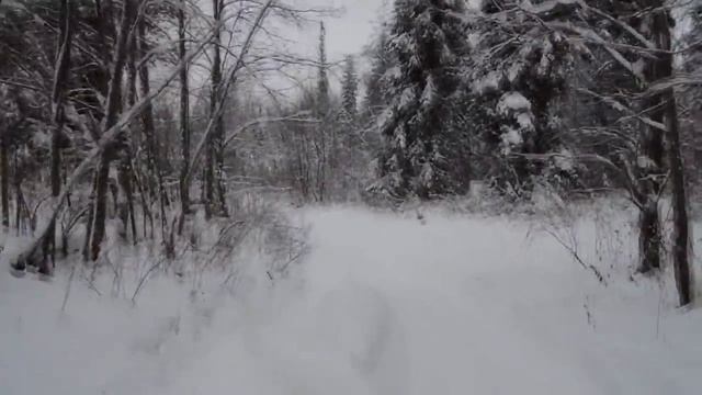 Decat Tv рыбалка,охота, самоделки смотреть онлайн