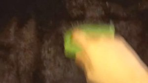 Как ухаживать за искусственной шубой