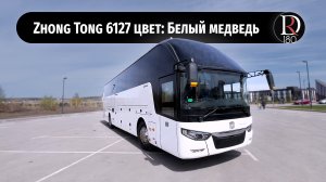 Белый медведь. Автобус Zhong Tong 6127 (Зонг Тонг 6127). Металлик.