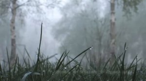 Нас почитают безумными