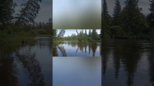 Амыл река,Каратузский район,тайга.природа.