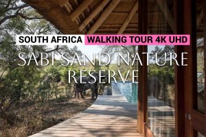 Сафари по заповеднику Саби Сенд, ЮАР и обзор отеля &Beyond Tengile River Lodge Африка