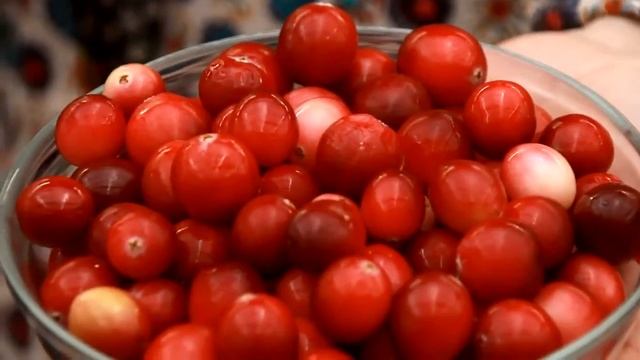 Школа садовода. Как получить большой урожай клюквы? смотреть онлайн