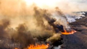 Как выглядит город Чернобыль в 2021 году, что сейчас происходит в Чернобыле и Припяти?