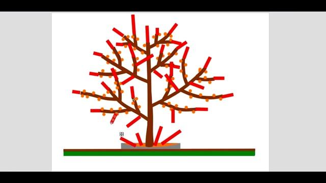 Весенняя обрезка яблони /Формировка яблони чашей/ Формировка обрезка фруктового сада смотреть онлайн