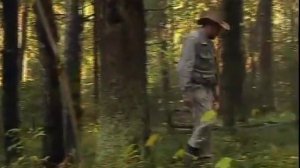 Следопыт с Глебом Данильцевым. Грибы и ягоды в осеннем лесу