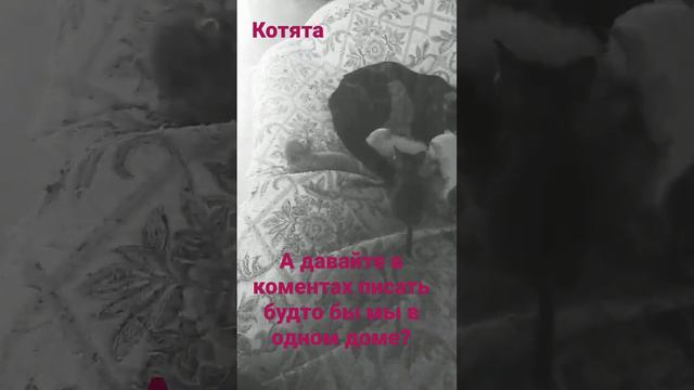 А давайте писать в комментах будто бы мы в одном доме?❤️ смотреть онлайн