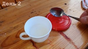 Безвредный способ борьбы с муравьями в доме