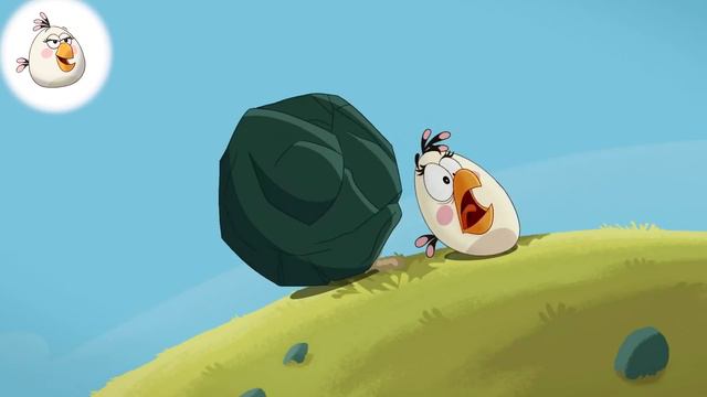 Angry Birds Toons | Vote For Your Favorite Bird Of The Series S1