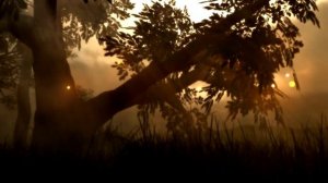 ФУТАЖ Вечер