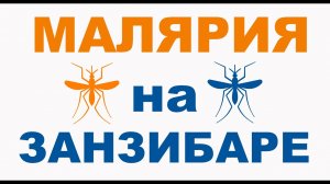 Малярия в Танзании и на Занзибаре :  есть или нет? Фрагмент из урока курса "Джамбо, Занзибар!"