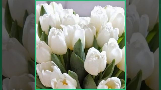 ГАЛИНА, С ДНЕМ АНГЕЛА. 29 апреля, 23 февраля, 23 марта, день Ангела Галины Музыка Сергея Чекалина смотреть онлайн