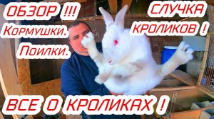 Живем в селе и разводим кроликов!Все о кроликах,кормушки,поилки,обзор кроликов!