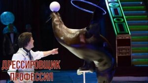 Дрессировщик профессия