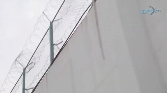 6 5 2023 Шри Ланка обрушила китайскую сеть онлайн мошенничества смотреть онлайн