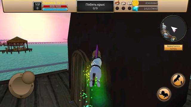 Симулятор Кота Жизнь Животных #5 Обновление. Пляж Cat Simulator на пурумчата