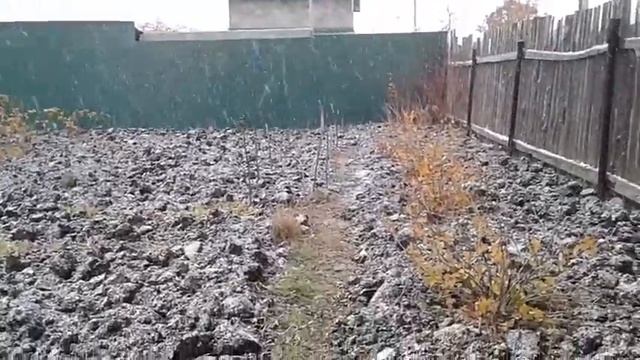 Первый снег в Самаре! Дача Стромилово 28 октября 2018 смотреть онлайн