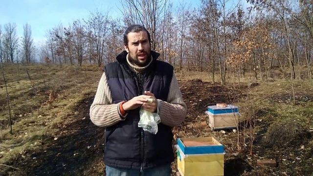 Подкормка пчел весной?Витамины,Стимуляторы.Иммуностимуляторы,Весенние лекарства для пчел
