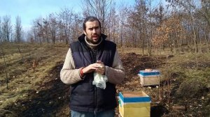 Подкормка пчел весной?Витамины,Стимуляторы.Иммуностимуляторы,Весенние лекарства для пчел
