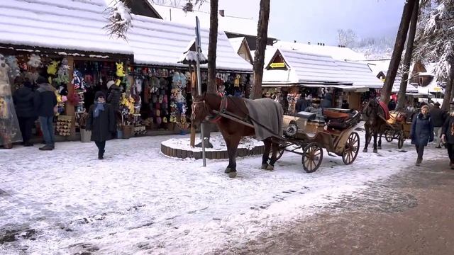 ЗАКОПАНЕ: перший сніг, пішки на Губалувку, SPA-готель з видом на Татри та гуральська кухня