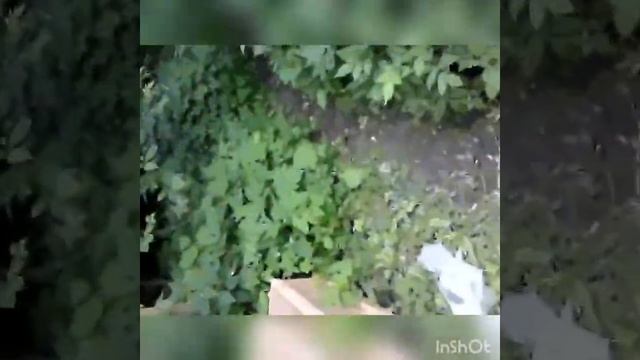 Обжиг!!! Выставка машин!!! Покупка монитора!!! смотреть онлайн