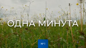 № 1 / Одна минута / Поле / Июнь / Тверская область