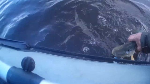 Ловим большого леща.Река Ловать.Рыбалка с физруком. смотреть онлайн