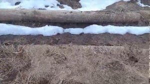 Грядка под парами. Восстановление плодородие почвы природным способом.