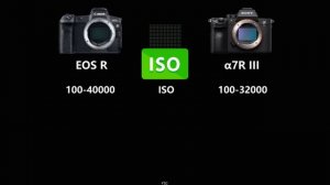 Canon EOS R vs Sony a7R III