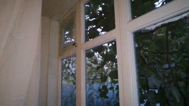 Обзор дома 65 кв.м. за 3 000 000 рублей/г. Апшеронск Краснодарский край
