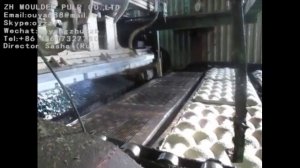 оборудование для производства лотка фруктов (бугорчатые прокладки)