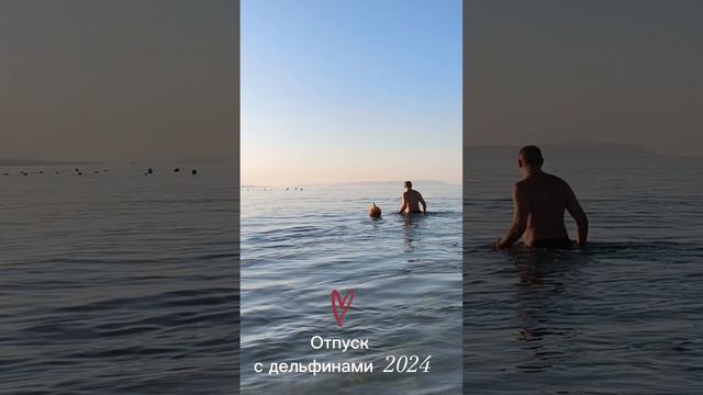 Дельфинывморе.mp4