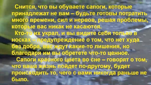 К чему снятся САПОГИ? Толкование снов.