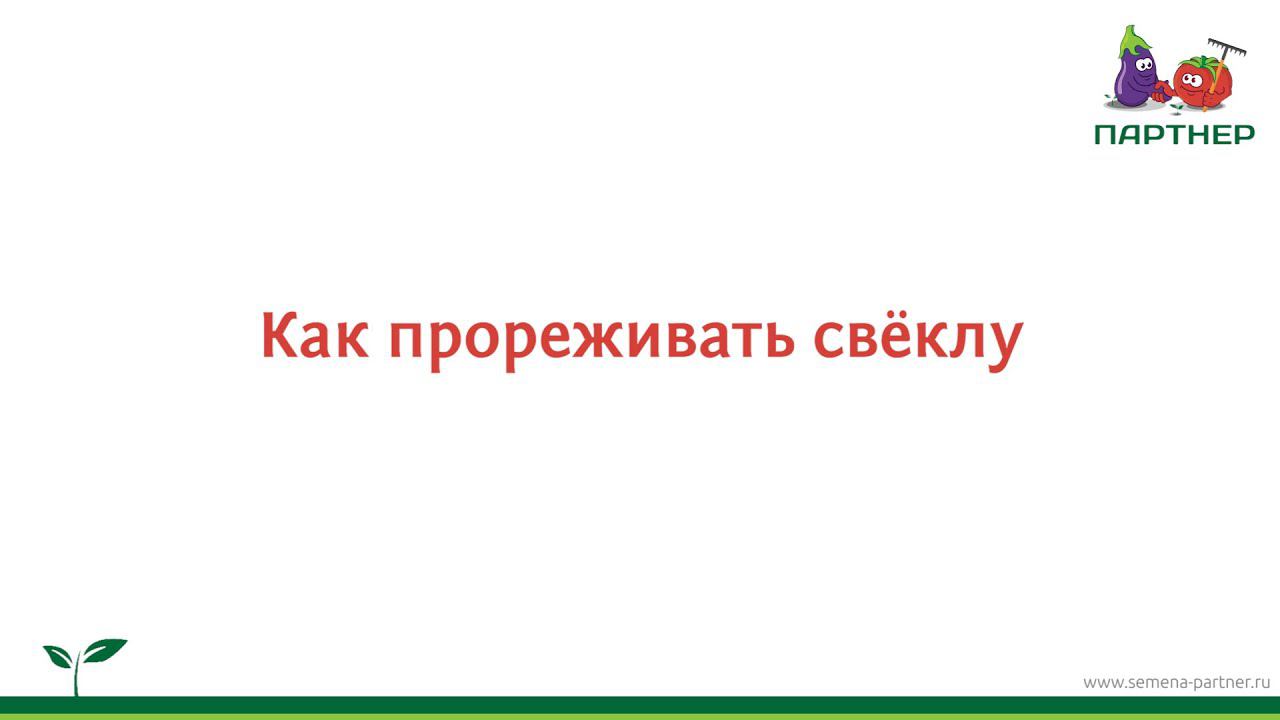 Как прореживать свёклу