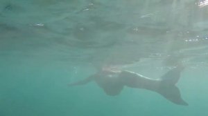 Русалка Ариэль