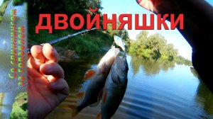 Ловля Окуня на Спиннинг. Окунь с каждого заброса.  Лучший Воблер на окуня.