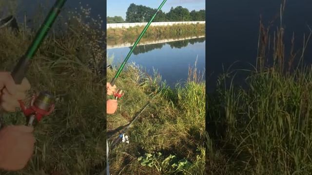 Рыбалка н песчаном смотреть онлайн