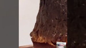 чёрное говно негра