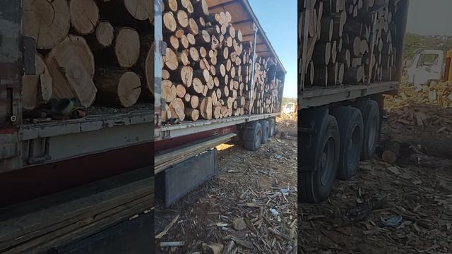 За час загрузили фуру дров. купить дрова Одесса смотреть онлайн