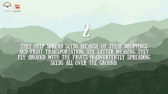 Nature Talks 2021: The Palawan Hill Mynah смотреть онлайн