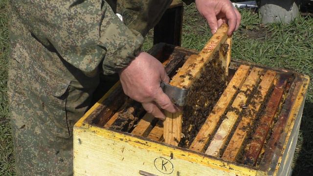 ПЕРВЫЙ ТРУТЕНЬ смотреть онлайн