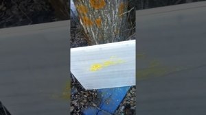 Тест оргстекла и оргалита