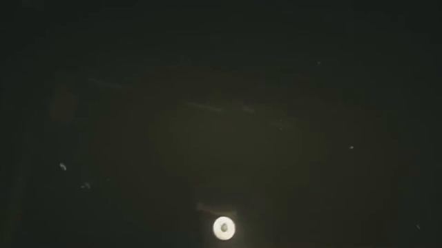 ИСКАТЕЛИ ЛЕШИ 2