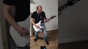 КиШ - Лесник (2Guitar Cover)
